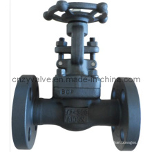 300lb, 1/2inch Flanged End Forged Gate Valve